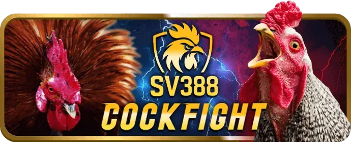 Chiến lược cá cược đá gà xbet login